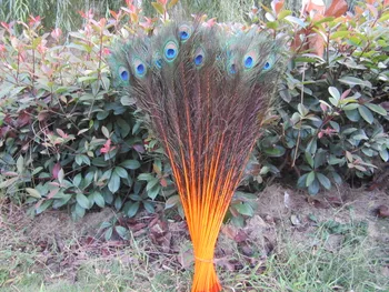 Didmeninė 50pcs gražus Oranžinis povo plunksna akių 75-80 cm / 30-32 colių dekoratyvinis šventė
