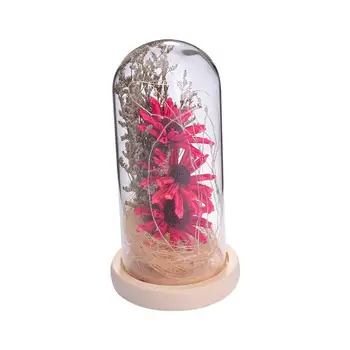 1PC Gėlių Dome Lempa USB Dirbtinis Darbalaukio Ornamentu LED Gėlių Šviesos Mergaitėms