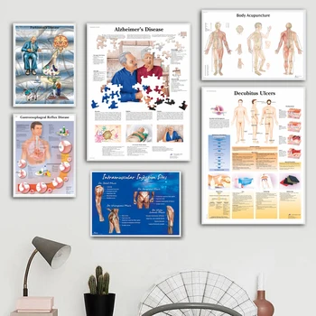 Anatomijos Diagramos Žmogaus Kūno Anatomiją Medicinos Diagramos Raumenų Tapybos Meno Sienos Plakatas Nuotraukas Kambarį Namų Dekoro