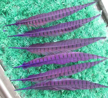 Didmeninė 10 vnt gražus fazanų plunksnos įvairių spalvų pasirinktinai ilgai 12-14 colių 30-35 cm etape šventė apdaila