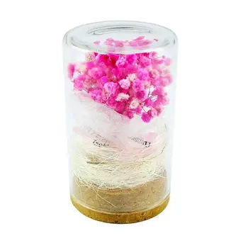 Valentino Newyear 2021 Vestuvių Namų Puošybai Konservuoti Džiovinti Gėlių Kompozicijų Gypsophila Babysbreath Mln. Žvaigždžių Giftbox
