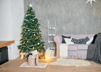 Capisco Kalėdų eglutė Fotografijos Backdrops sofa plytų Sienos Dekoracijos Fone Naujagimių Fotografijų Fone Šalių Fone