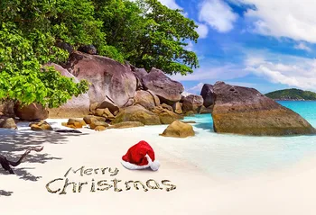 Sala vaizdingas fotografas sluoksnių vinilo fotografia pajūrio Kalėdų backdrops fotostudija rekvizitai photophone lv-2564