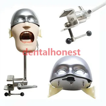 Nerūdijančio plieno galvos modelį, NISSIN Dantų manikins ir modelių Phantom Galvos, Dantų mokymo modelį