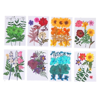1bag Ryškus Dekoratyvinis 3D Natūralių Džiovintų Gėlių 