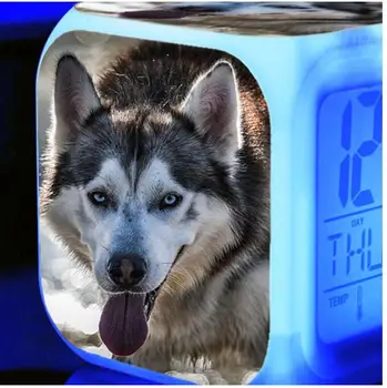 7 Spalvos, Žėrintis Daugiafunkcis Skaitmeninis Laikrodis-Žadintuvas Mielas Haskis Šuo LED Laikrodis-Žadintuvas, Vaikų kambarys Nakties Šviesos Elektroninis Laikrodis Laikrodžiai