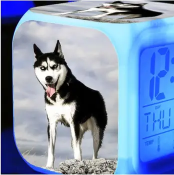 7 Spalvos, Žėrintis Daugiafunkcis Skaitmeninis Laikrodis-Žadintuvas Mielas Haskis Šuo LED Laikrodis-Žadintuvas, Vaikų kambarys Nakties Šviesos Elektroninis Laikrodis Laikrodžiai