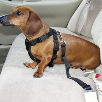 5 Spalvos Šuo Pet Automobilio Saugos Diržą, Diržo Tvirtinimo Švino Pavadėlio Kelionės Įrašą Naudinga